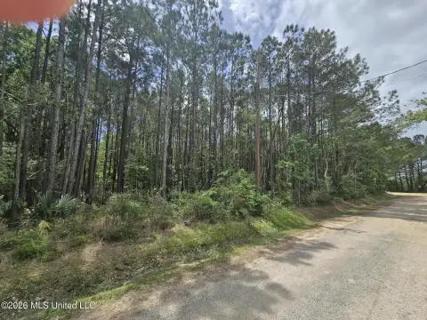 Residential Land in Bay Saint Louis