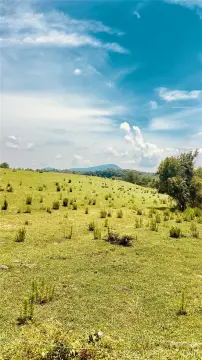 Waterfront Farmland Tract with River Frontage