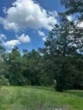 Buildable Residential Lot in Laurel