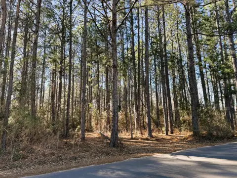 Residential Land in Sumrall, MS