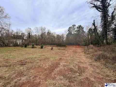 Greenville Commercial Lot For Sale