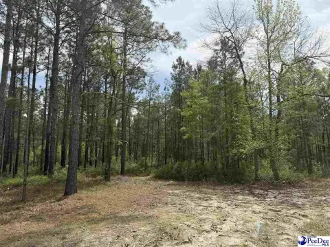 Dillon, SC Acreage Available