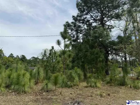 Residential Lot in Dillon, SC
