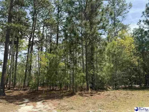 Residential Lot in Dillon, SC