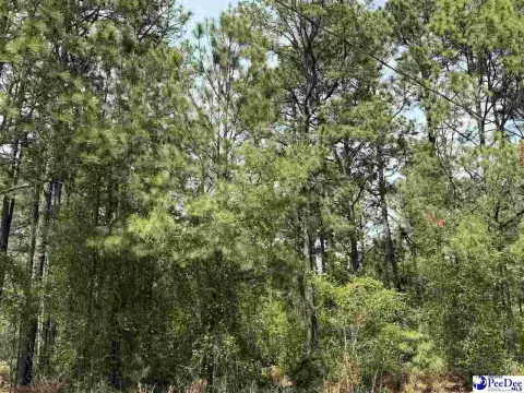 Residential Lot in Dillon, SC