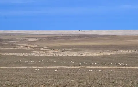 Expansive Organic Farm on Plains