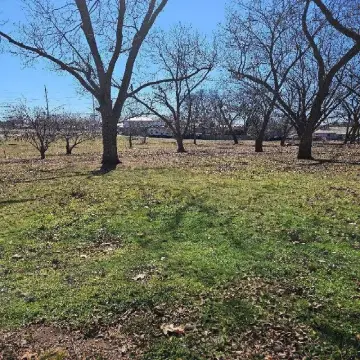 Langley, OK Vacant Land