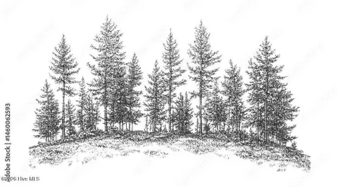 Wooded Acreage in Wilson, NC