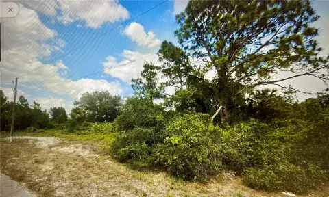 Half-Acre Lot in Alva, Florida