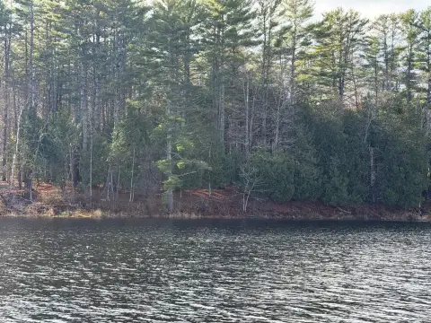 Pristine Land Ready For Home