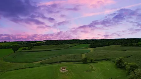 Agricultural Farmland Corner Tract