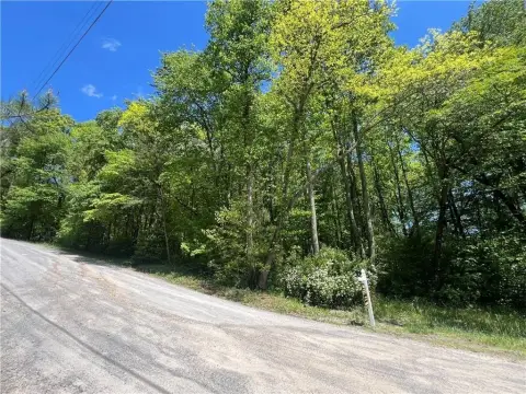 Blue Ridge Acreage Near Downtown