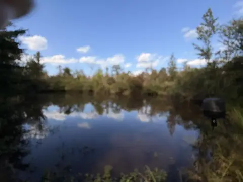 Hunting Land with Ponds