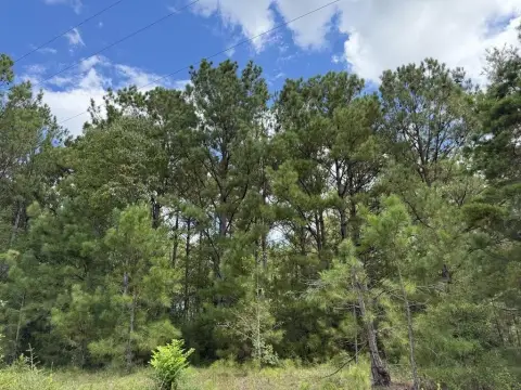 Unrestricted Timber and Recreational Land