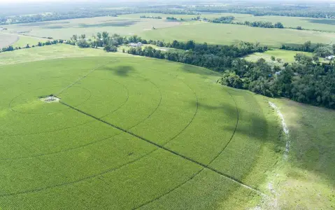 Agricultural Acreage with Irrigation Well