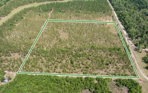 10-Acre Agricultural Homesite Land