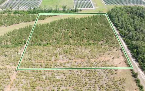 Zoned Agricultural Acreage