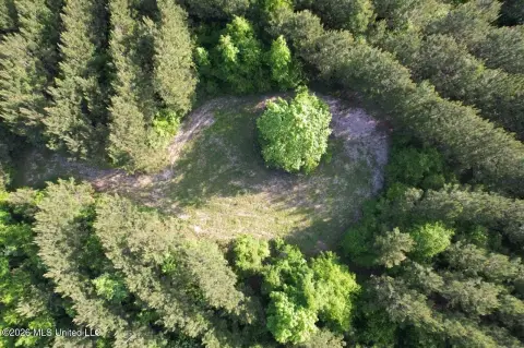 Hunting Land with Camp