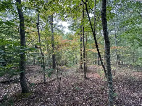 18 Acres Near Grayson Lake