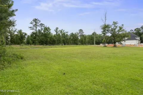 Waterfront Build Site with Oaks