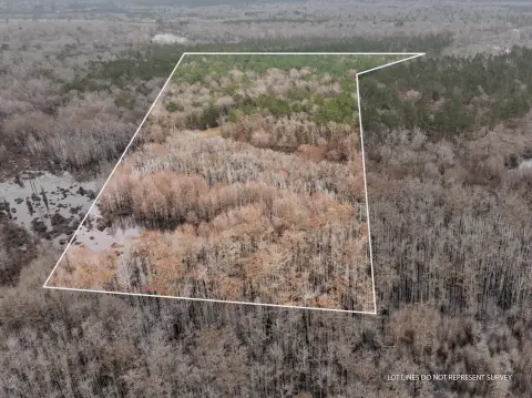 Leaf River Waterfront Land