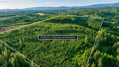 Timber Development Land Parcel