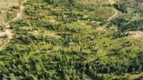 St. Maries Land For Sale