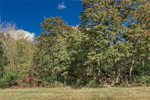 Land in Olmsted Twp, OH