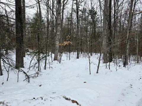 Wyalusing Land for Hunting/Recreation