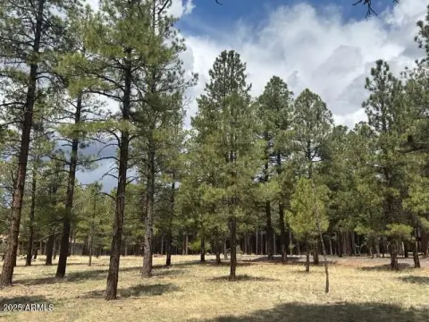 Residential Land Homesite with Views