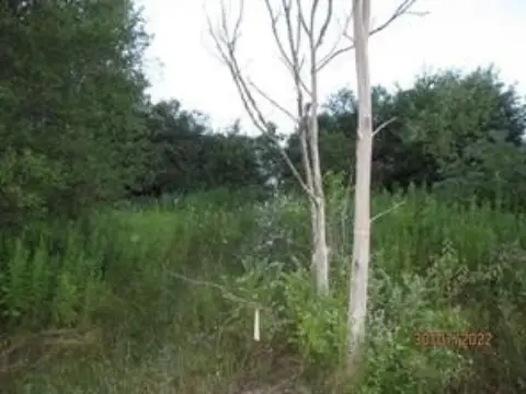 South Plymouth Land For Sale