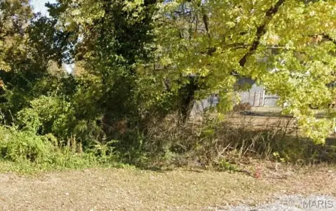 Residential Land in Washington Park