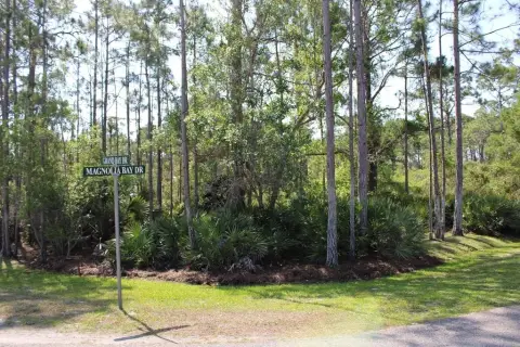 Magnolia Bay Homesite Opportunity