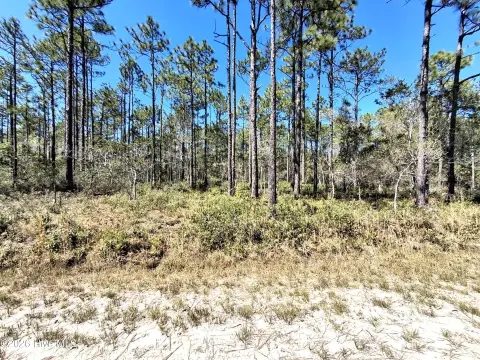 Vacant Lot in Boiling Spring Lakes