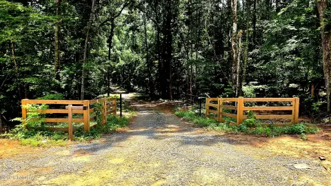 Wooded Land Parcels with Creek