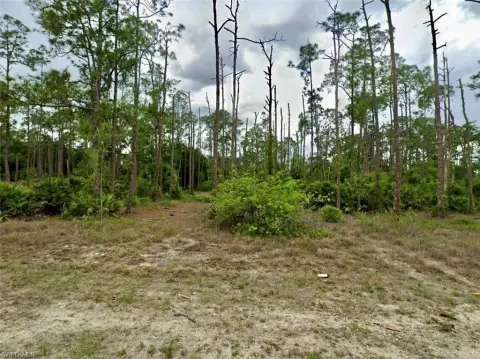 Residential Lot in Lehigh Acres