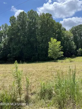 Residential Lot in Byhalia, MS
