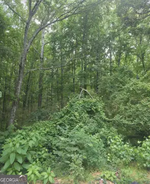 Residential Lot Near Downtown Winder