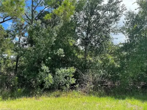 Spacious Double Lot in Sebring
