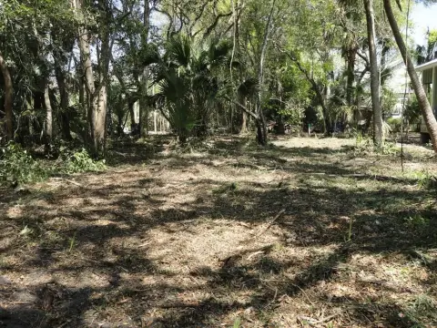 Apalachicola Land For Sale
