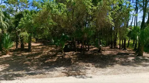 St. George Island Land