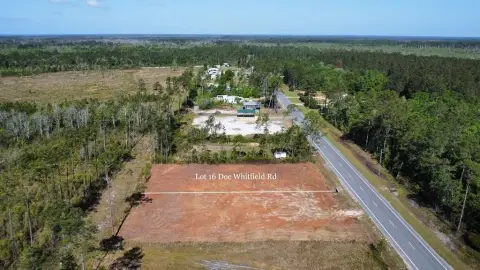 Cleared Land Parcel in Wewahitchka
