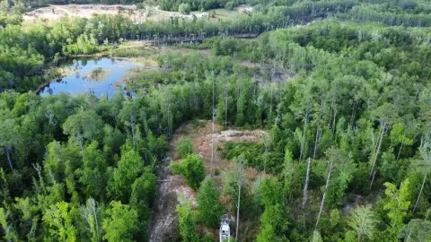 Land Near Dead Lakes