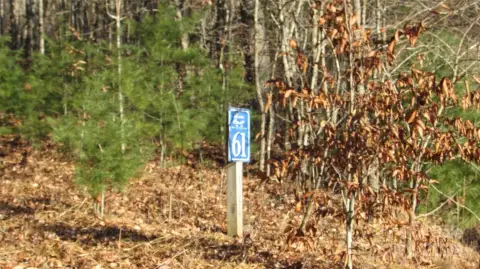 Buildable Mountain Property with Views