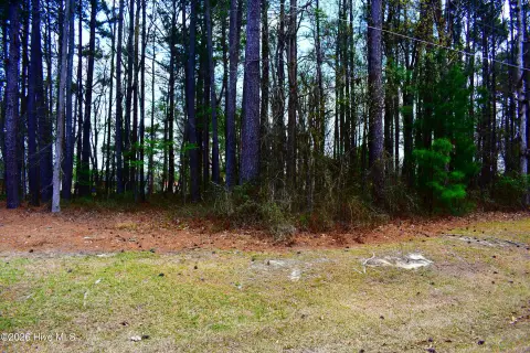 Residential Land in Saratoga, NC