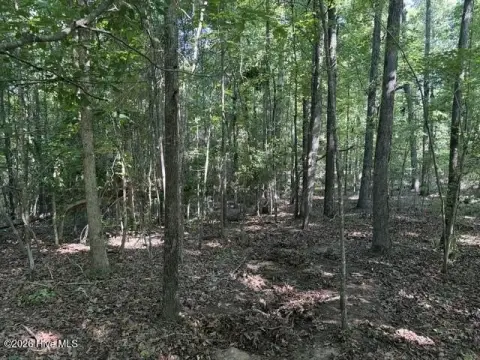 Residential Waterfront Acreage Lot