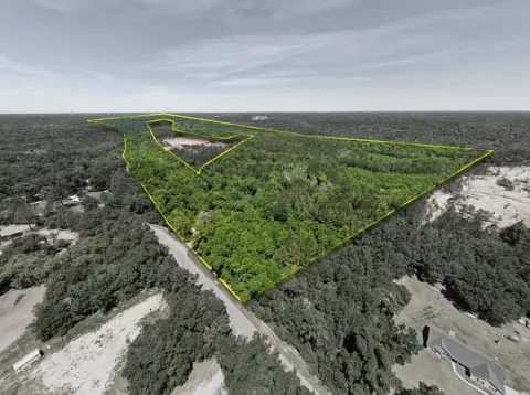 201 Acres in Quincy, Florida