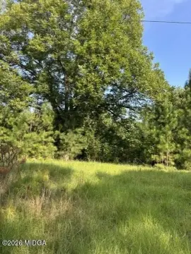 Wooded Land Tract
