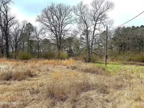 Acre Lots in North Pike