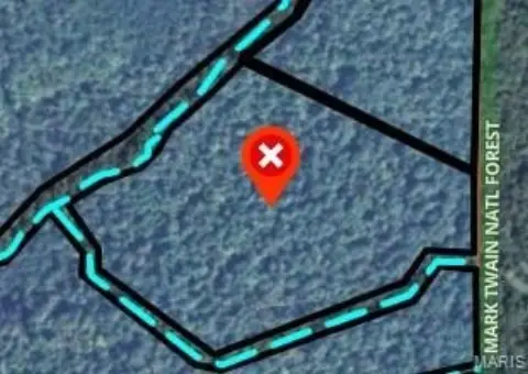 Forested Land Bordering National Forest